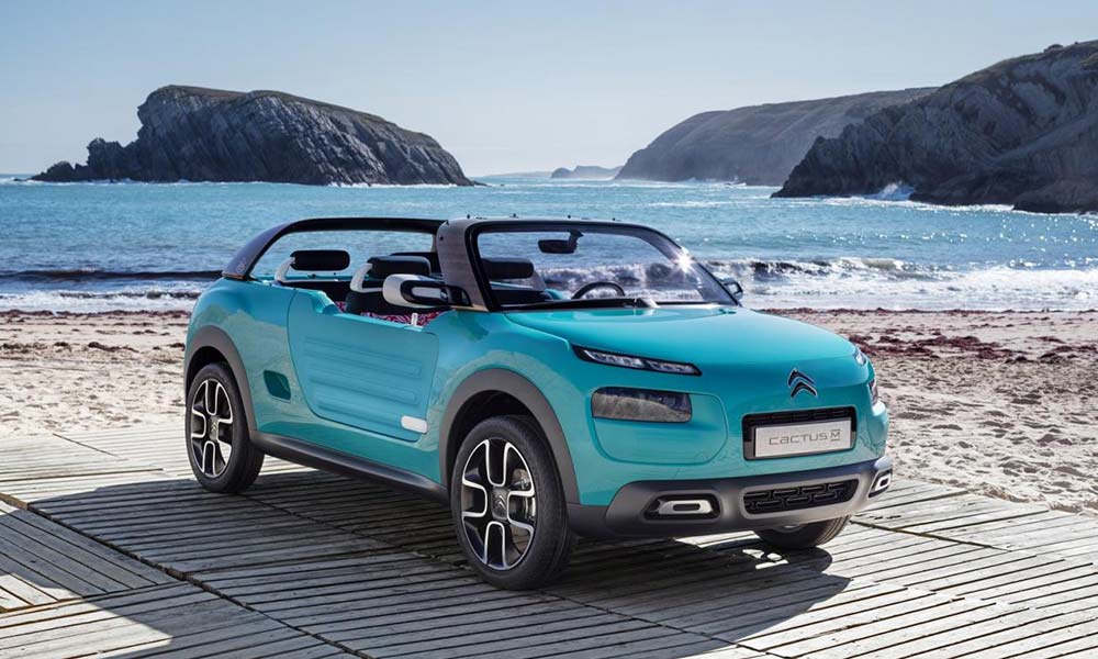 Based on the C4 Cactus