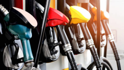 Fuel levy cut