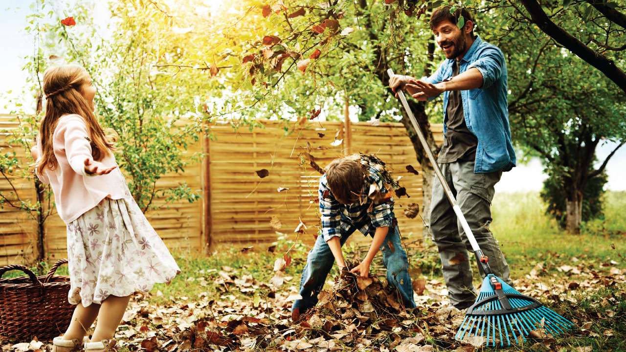 Best use of autumn leaves in your garden